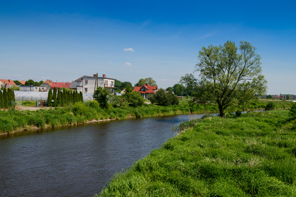 Szymanów