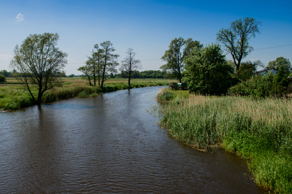 szymanów10